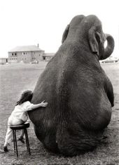 abraço-elefante-9-razões-para-dar-e-receber-abraços-todos-os-dias